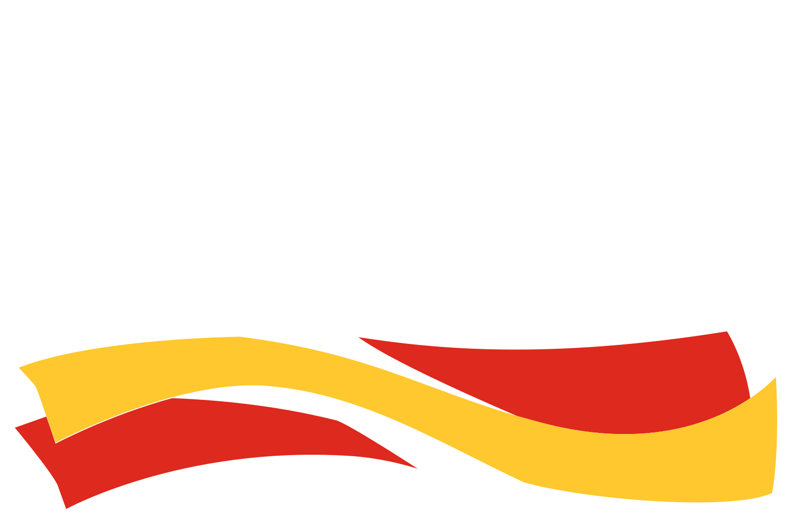1600px Dm Logo w
